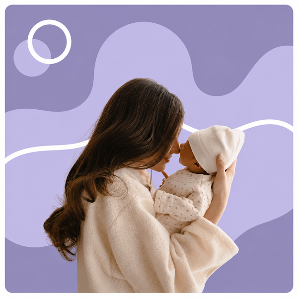 Postpartum Support Package with Consultant